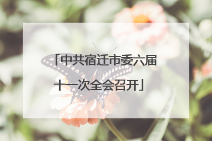 中共宿迁市委六届十一次全会召开